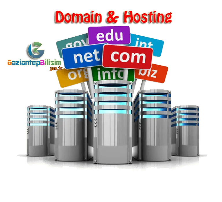 Representing Domain Hosting image
